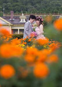 instagram upload :1111-01-wedding-photo-203