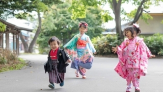 七五三記念写真。3人の和装。神社境内。