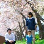家族・赤ちゃん。桜の樹の下で