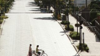 函館八幡坂麓から