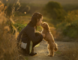 函館近郊駒ケ岳夕暮れ。少女と愛犬フォト