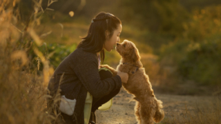 函館近郊駒ケ岳夕暮れ。少女と愛犬フォト