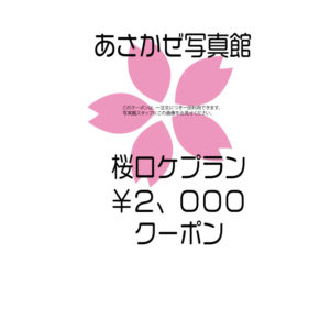 桜ロケプランクーポン画像