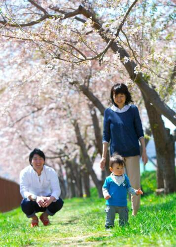 家族・赤ちゃん。桜の樹の下で