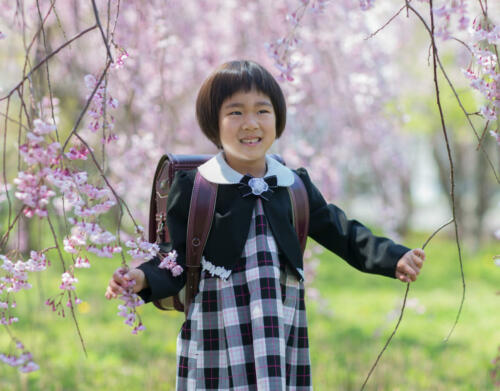 桜の樹の下で。女の子。小学校入学記念撮影。