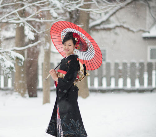 成人式。亀田八幡宮境内の雪の日。。濃い衣装と紅の唐傘が映えます