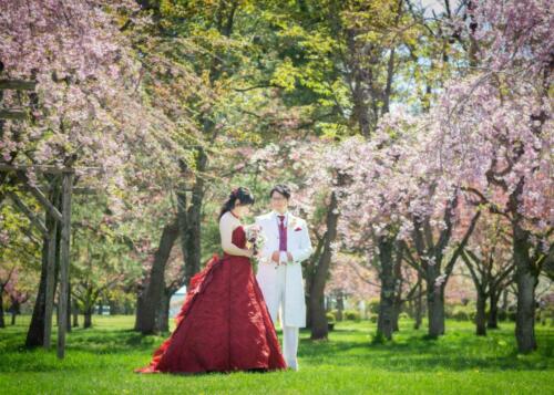 wedding-under-cherry-tree